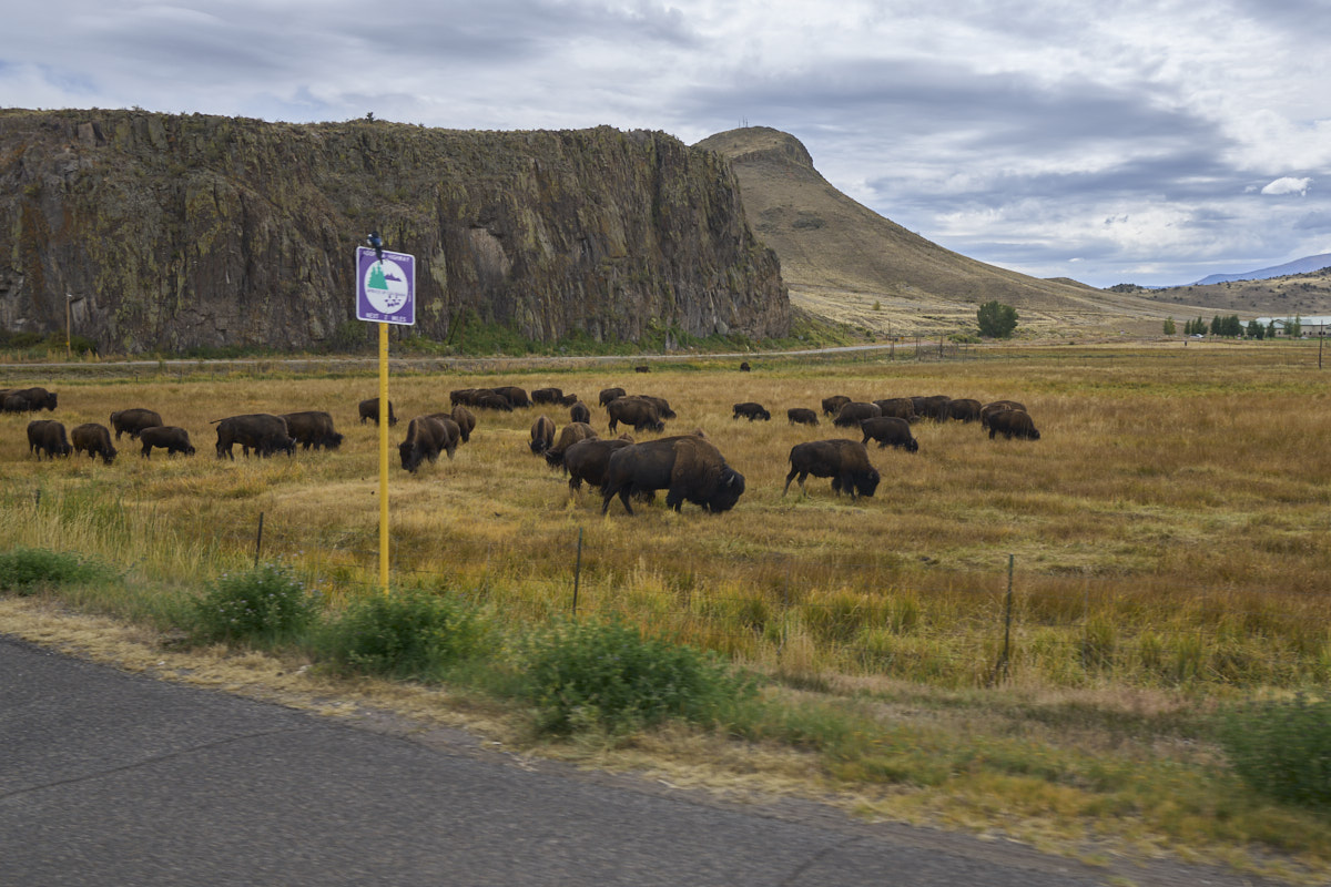 Part 18 Colorado Springs to La Junta, CO 2021091728
